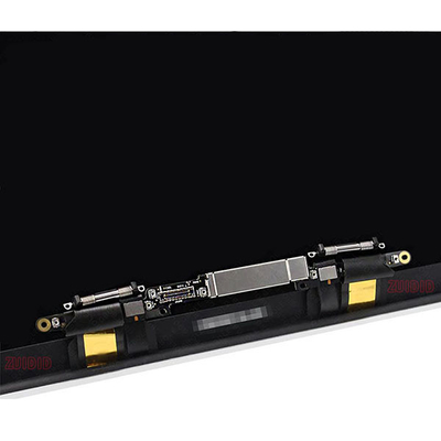 TFT Display Assembly Space Gray , EMC 3456 Macbook A2289 Screen Replacement